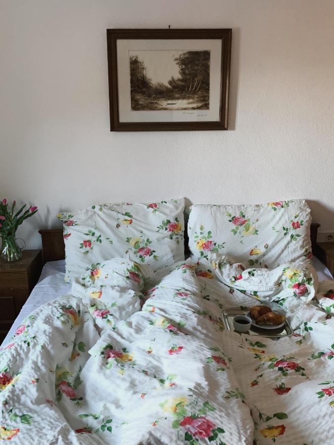 Hotel Echo バードガシュタイン エクステリア 写真